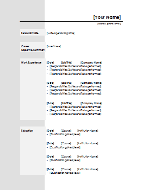 Standard CV Template