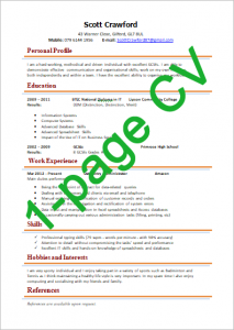 Example of a one-page CV: