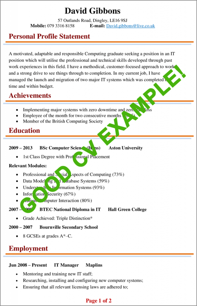 Example Of An Excellent CV example-of-an-excellent-cv