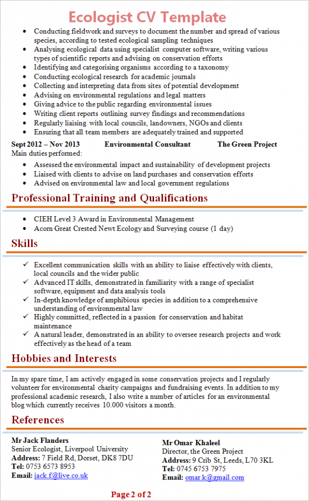 What makes this CV good and effective?